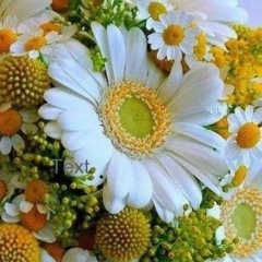 Ольга Ратникова, 25.09