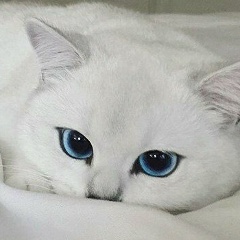 Маша Чернышёва, 12.08, Санкт-Петербург