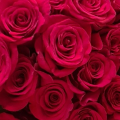 Зарема Дидиева, 23.11.1984, Грозный