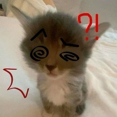 Никита Горбатко, 24.05