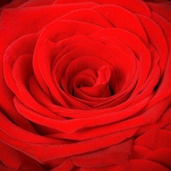 Регина Шайбакова, 14.06