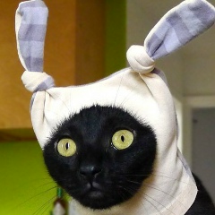 Михаил Зыгалов, 26.04.1988, Ставрополь