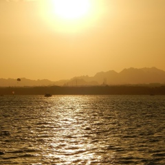 Толя Лисовенко, 19.03.1990, Киев