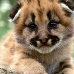 Настя Рыбакова, 13.05.2003, Урень