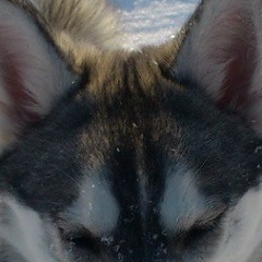 Александр Терентьев, 07.04.1980, Юрьев-Польский