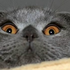 Татьяна Борисова, 17.03