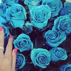 Aida Alisheva, 26.06