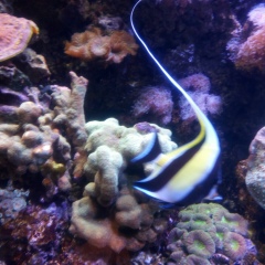 Татьяна Красюкова, 26.09, Одесса