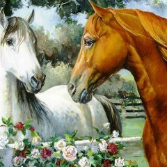 Зелим Байсангуров, 19.05.1992, Пермь