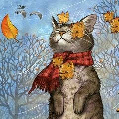 Sergey Boyko, 14.08.1978, Санкт-Петербург