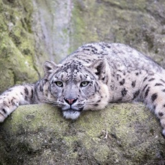 Айбек Каримов, 14.02, Астана