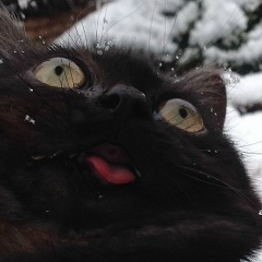 Александр Суворов, 19.08.1987, Севастополь