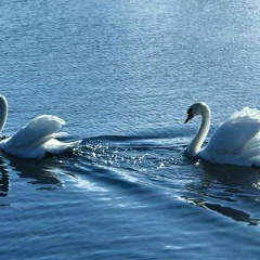 Гулмира Жусупова, 31.01.1984