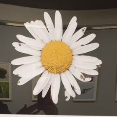 Надежда Бондарева, 20.06