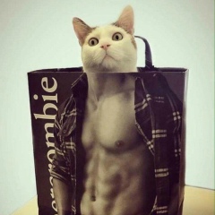 Сергей Трой, 18.03, Санкт-Петербург