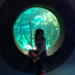 Барно Собирова, 05.03.1996, Москва