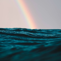 Marina Logvinova, 08.01.1988, Москва