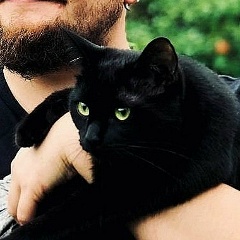 Игорь Малкин, 28.03, Москва