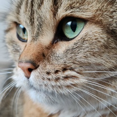 Эля Эля, 09.05, Альметьевск