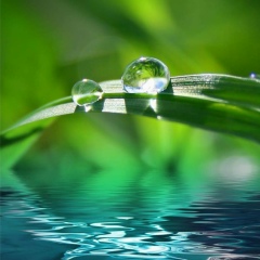 Dilmurat Ataev, 30.03.1977