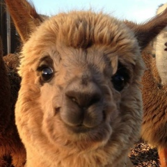 Артем Арзамасцев, 10.12.1989, Ижевск