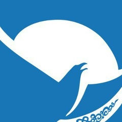 Айс Бамбаев, 13.07.1989