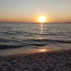 Евгений Шелест, 03.11, Оленевка