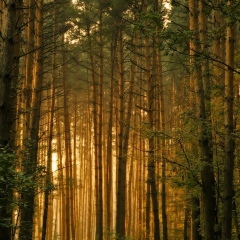 Роман Аверин, 06.04.1999, Санкт-Петербург