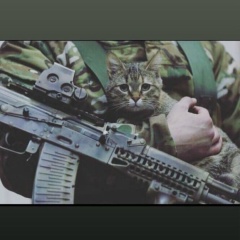 Houston S, 01.01.1995, Грозный