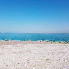 Роман Шабашов, 12.12.1990, Екатеринбург