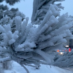 Ай Комбо, 07.03.1990, Караганда