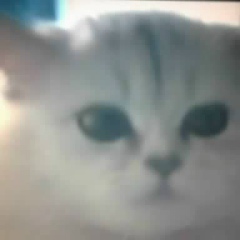 Аня Самур, 28.03, Dubai