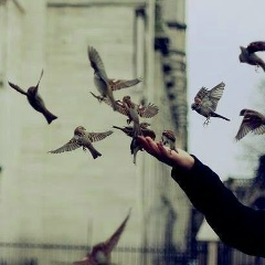 Фатима Базоркина, 16.07.1983, Назрань