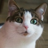 Нина Фролова, 14.08, Санкт-Петербург