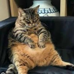 Андрей Сидяков, 15.06, Сургут