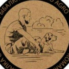 Роман Камозин, Москва