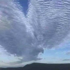 Kyaw Maung, 05.06, Sittwe (Akyab)