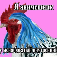 Николай Дорн, 14.01.1997, Москва