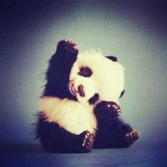 Сания Абельдинова, 11.05, Алматы