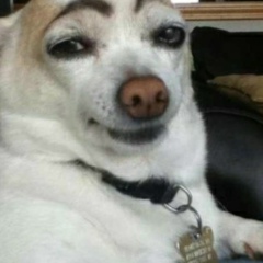 Ырыскелди Туленалиев, 09.08.2002, Бишкек