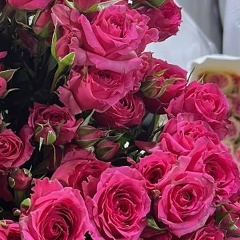 Меруерт Смагулова, 19.10, Алматы