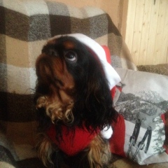 Александр Голубев, 03.01.1988