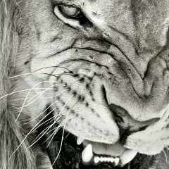 Нуржан Узакбай, 17.06, Актобе