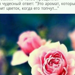 Quotmila-Milieva-Quot Milieva