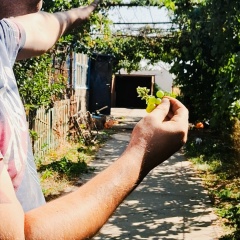 Kostya Makeev