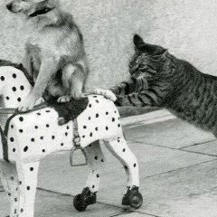 Mishaka Popoff, 20.08, Москва