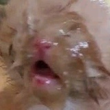 Фёдор Гарабурда