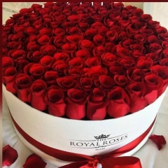 Айтолкын Мырзагали, Тараз