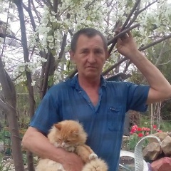 Константин Алышев, 08.11.1960, Минеральные Воды