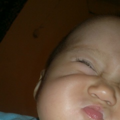 Бота Сламия, 05.04